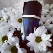 Dior Addict Eau de Parfum