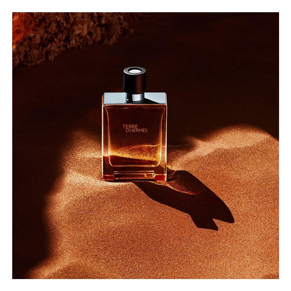 Hermes Terre d'Hermès Eau de Toilette 100ml