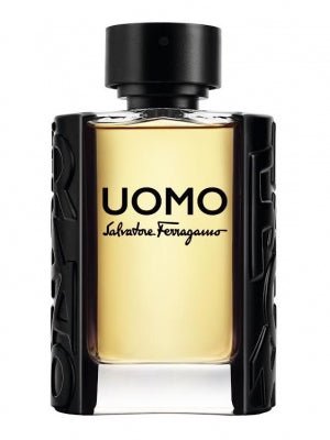 Ferragamo Uomo Eau de Toilette 100ml