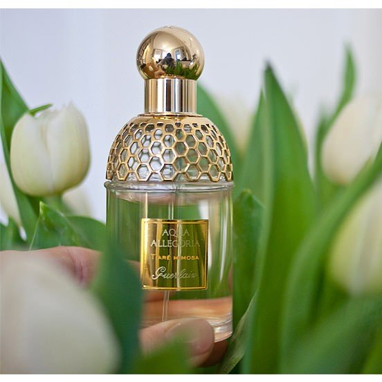 Guerlain Aqua Allegoria Tiare Mimosa 125ml (INIZIATO) - Acque Profumeria