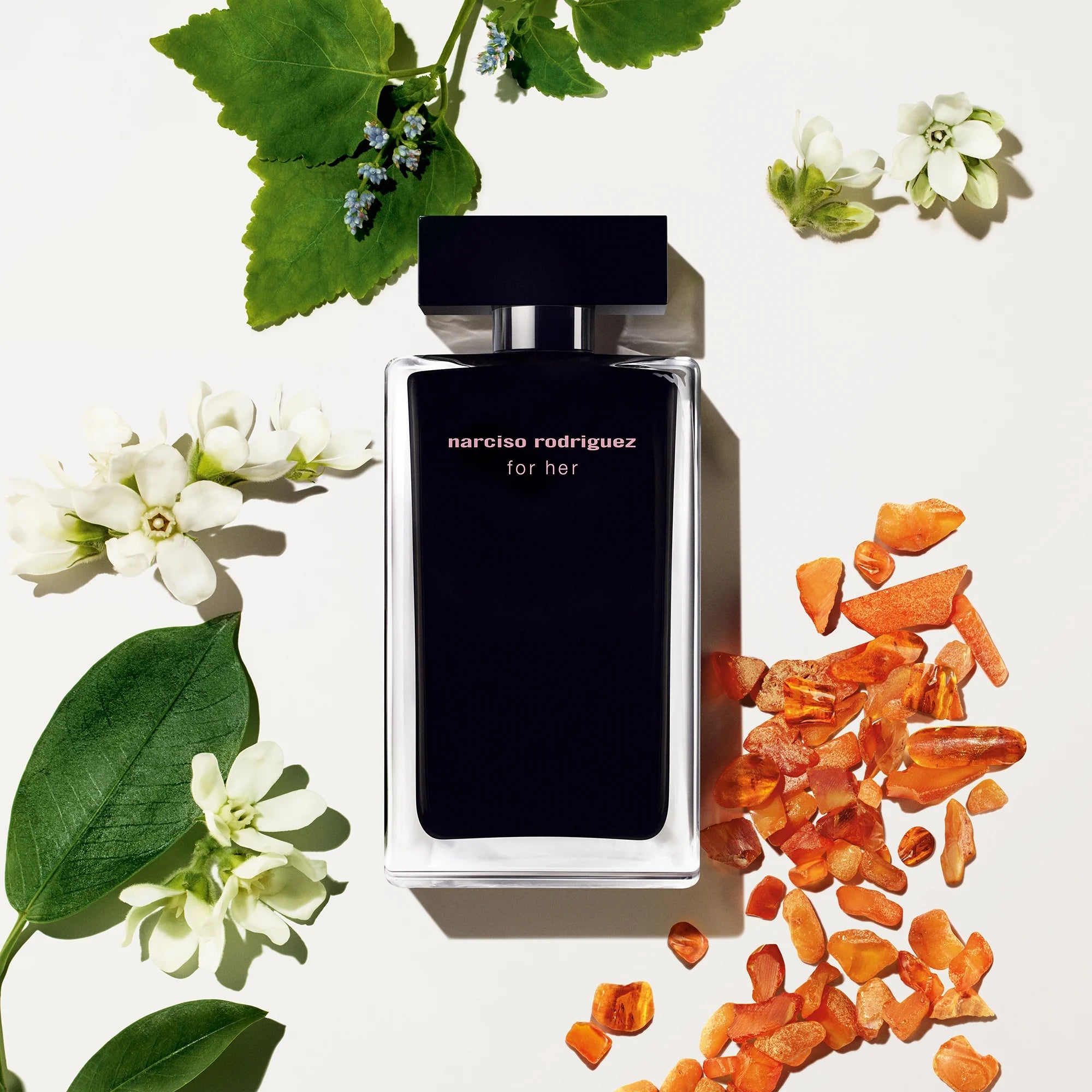 Narciso Rodriguez For Her Eau de Toilette 100ml – Profumo Donna Floreale Legnoso Muschiato